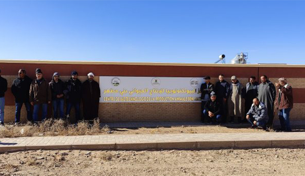 Study trip for livestock farmers in Ain Safa-Labsara
