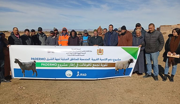 Voyage d&rsquo;étude au profit des éleveurs Tafoughalt